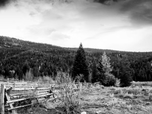 A ranch near Victor ID